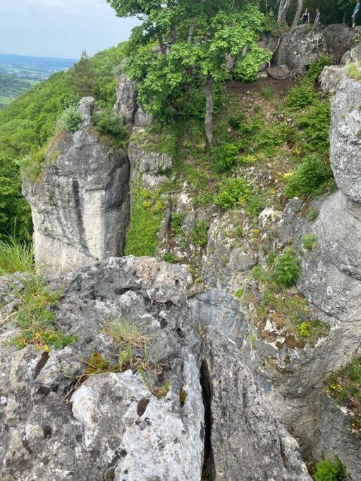 Laendliche Fewo Wildblume, 4 Km Zum Stausee Happurg ภายนอก รูปภาพ