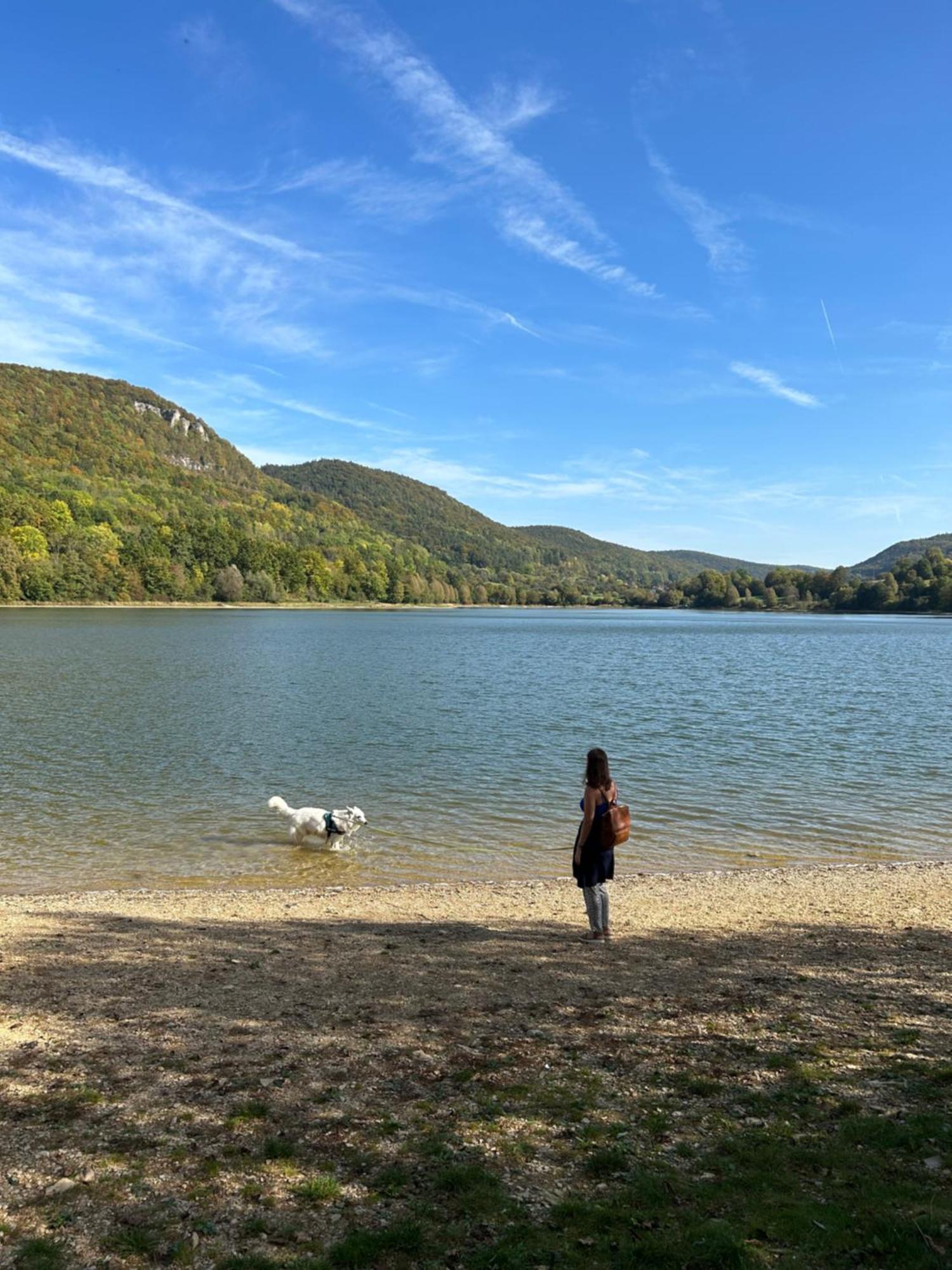 Laendliche Fewo Wildblume, 4 Km Zum Stausee Happurg ภายนอก รูปภาพ